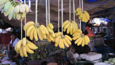 В Эквадоре обнаружили кокаин в бананах, предназначенный для оправки в Россию - apral.ru - Бельгия - Эквадор - Гуаякиль