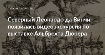 Леонардо Да-Винч - Северный Леонардо да Винчи: появилась видеоэкскурсия по выставке Альбрехта Дюрера - mos.ru - Москва