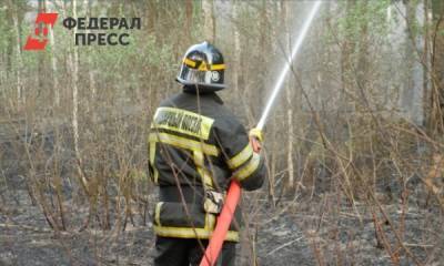 В Свердловской области увеличилось число лесных пожаров - fedpress.ru - Екатеринбург - Свердловская обл.