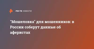 "Мошеловка" для мошенников: в России соберут данные об аферистах - ren.tv - Россия