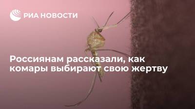 Вадим Марьинский - Россиянам рассказали, как комары выбирают свою жертву - ria.ru - Москва