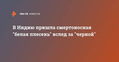В Индию пришла смертоносная "белая плесень" вслед за "черной" - ren.tv - Япония - Бразилия - Индия