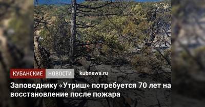 Заповеднику «Утриш» потребуется 70 лет на восстановление после пожара - kubnews.ru - Анапа - Краснодарский край
