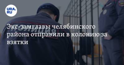 Экс-замглавы челябинского района отправили в колонию за взятки - ura.news - Челябинская обл.