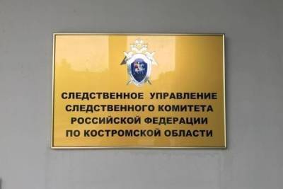 Костромской СК возбудил уголовное дело по факту гибели подростка во время урагана - kostroma.mk.ru - Костромская обл. - Кострома