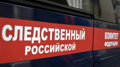 Александр Бастрыкин - Поставил на колени и заставил извиняться: издевательство над ребенком в Новосибирске – на контроле СК - vesti.ru - Новосибирск