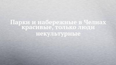 Андрей Семенов - Парки и набережные в Челнах красивые, только люди некультурные - chelny-izvest.ru - Набережные Челны