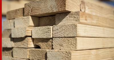 Михаил Мишустин - Пошлины на экспорт некоторых видов древесины вводят в России - profile.ru