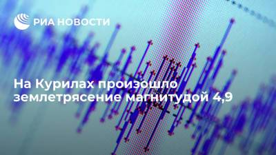 На Курилах произошло землетрясение магнитудой 4,9 - ria.ru - Россия - Курильск - Сахалинская обл. - Южно-Сахалинск