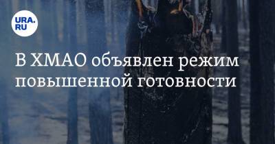 Наталья Комарова - В ХМАО объявлен режим повышенной готовности - ura.news - Югра