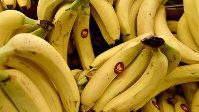 Эквадорские наркодилеры пытались отправить груз бананов с кокаином в Россию - polit.info - Россия - Бельгия - Эквадор