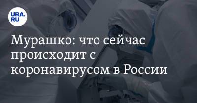 Михаил Мурашко - Мурашко: что сейчас происходит с коронавирусом в России - ura.news