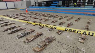 В Эквадоре полиция обнаружила кокаин в грузе бананов для России и Бельгии - piter.tv - Бельгия - Эквадор - Гуаякиль