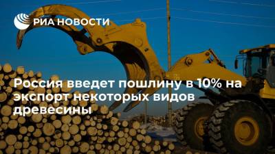 Владимир Путин - Юрий Трутнев - Россия введет пошлину в 10% на экспорт некоторых видов древесины - ria.ru - Москва - Россия - Дальний Восток