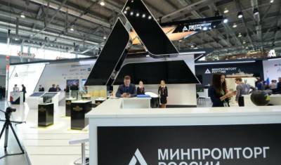 Александр Хинштейн - Чиновниц Минпромторга арестовали по обвинению в хищении 500 млн рублей - newizv.ru - Нижегородская обл.