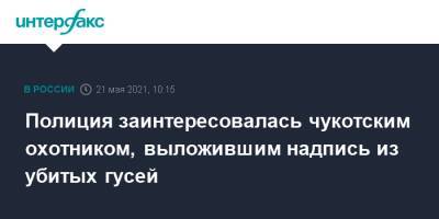 Полиция заинтересовалась чукотским охотником, выложившим надпись из убитых гусей - interfax.ru - Москва - Чукотка
