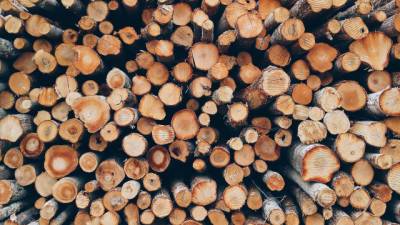 Михаил Мишустин - Россия для сдерживания цен введет новые пошлины на экспорт некоторых видов древесины - delovoe.tv - Россия