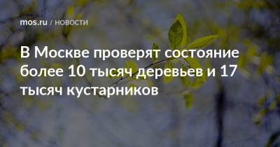 Петр Бирюков - В Москве проверят состояние более 10 тысяч деревьев и 17 тысяч кустарников - mos.ru - Москва