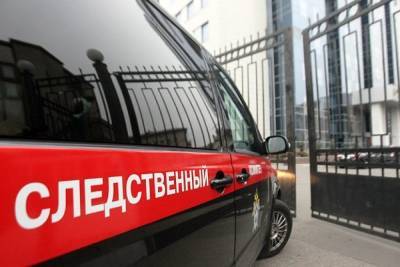 В Петрозаводске Следком проводит проверку по факту падения мальчика с высоты - karel.mk.ru - Петрозаводск