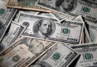 В Украине инвестируют 20 млн долларов в переработку сои и производство кормов - facenews.ua - Голландия