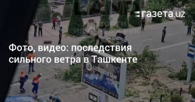 Фото, видео: последствия сильного ветра в Ташкенте - gazeta.uz - Узбекистан - Ташкент