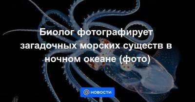 Биолог фотографирует загадочных морских существ в ночном океане (фото) - news.mail.ru