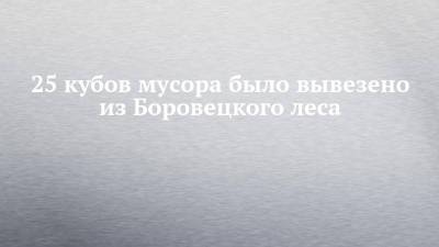 25 кубов мусора было вывезено из Боровецкого леса - chelny-izvest.ru - респ. Татарстан
