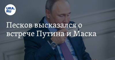 Владимир Путин - Дмитрий Песков - Илон Маск - Песков высказался о встрече Путина и Маска - ura.news - Москва