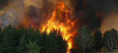 За сутки в Карелии выгорело более 17 гектаров леса - stolicaonego.ru - район Муезерский - республика Карелия