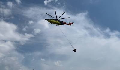 Борьбу с 17 пожарами в Тюменской области ведут самолёт и вертолёты - nashgorod.ru - Тюменская обл.