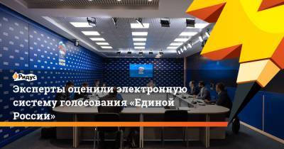 Эксперты оценили электронную систему голосования «Единой России» - ridus.ru