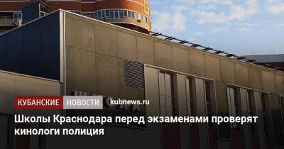 Школы Краснодара перед экзаменами проверят кинологи полиция - kubnews.ru - Краснодарский край - Краснодар