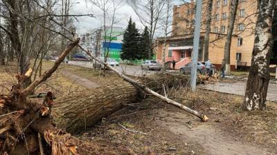 Евгений Тишковец - В Москве и Подмосковье – желтый уровень погодной опасности из-за ветра - vesti.ru - Москва - Московская обл.