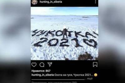 На Чукотке охотник сфотографировался на фоне сотен убитых гусей и навлёк на себя гнев пользователей - versia.ru - Чукотка