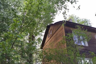 Владимир Любарский - Аварийное дерево, которое упало на дом в Петрозаводске, убрали - karel.mk.ru - Петрозаводск - республика Карелия