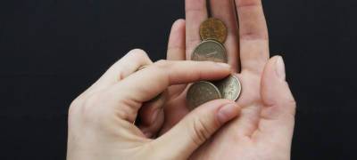 Уголовное наказание ждет жительницу Карелии, которая мошенническим путем обогатилась на 20 тысяч рублей - stolicaonego.ru - район Пряжинский - республика Карелия