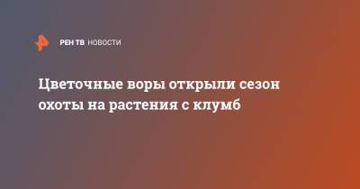 Цветочные воры открыли сезон охоты на растения с клумб - ren.tv - Москва - Ростовская обл.