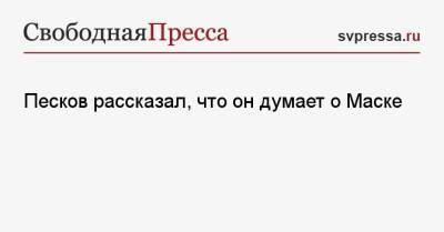 Дмитрий Песков - Илон Маск - Песков рассказал, что он думает о Маске - svpressa.ru