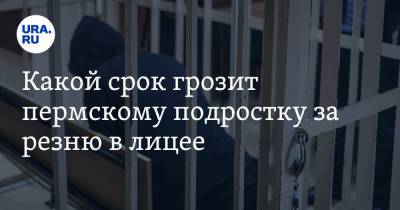 Какой срок грозит пермскому подростку за резню в лицее. Мнение адвокатов - ura.news - Пермский край