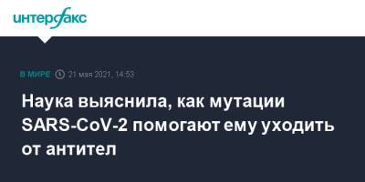 Наука выяснила, как мутации SARS-CoV-2 помогают ему уходить от антител - interfax.ru - Москва - США - Англия - Германия - Бразилия - Индия - Голландия - Юар - Ухань - штат Мэн - Великобритания