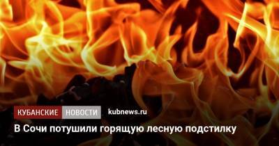 В Сочи потушили горящую лесную подстилку - kubnews.ru - Сочи - Краснодарский край