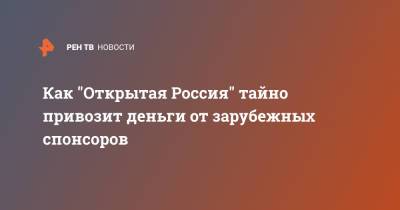 Как "Открытая Россия" тайно привозит деньги от зарубежных спонсоров - ren.tv - Сербия - Великий Новгород