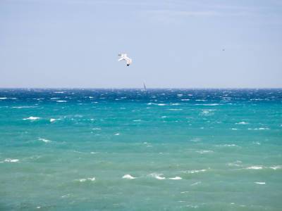 В Азовском море начали поиски пресной воды для Крыма - gordonua.com - Россия - Украина - Киев - Крым