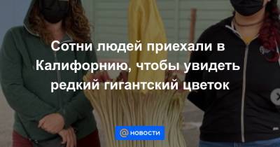 Сотни людей приехали в Калифорнию, чтобы увидеть редкий гигантский цветок - news.mail.ru - шт. Калифорния