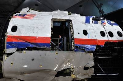 Олег Пулатов - Слушания по делу о крушении рейса MH17 приостановлены до 26 мая - aif.ru - Голландия