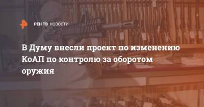В Думу внесли проект по изменению КоАП по контролю за оборотом оружия - ren.tv