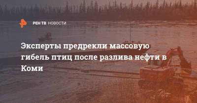 Эксперты предрекли массовую гибель птиц после разлива нефти в Коми - ren.tv - респ. Коми