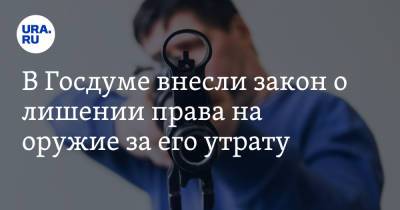 В Госдуме внесли закон о лишении права на оружие за его утрату - ura.news