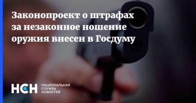 Владимир Путин - Законопроект о штрафах за незаконное ношение оружия внесен в Госдуму - nsn.fm - Казань