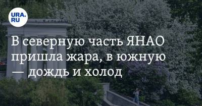 В северную часть ЯНАО пришла жара, в южную — дождь и холод - ura.news - Салехард - окр. Янао